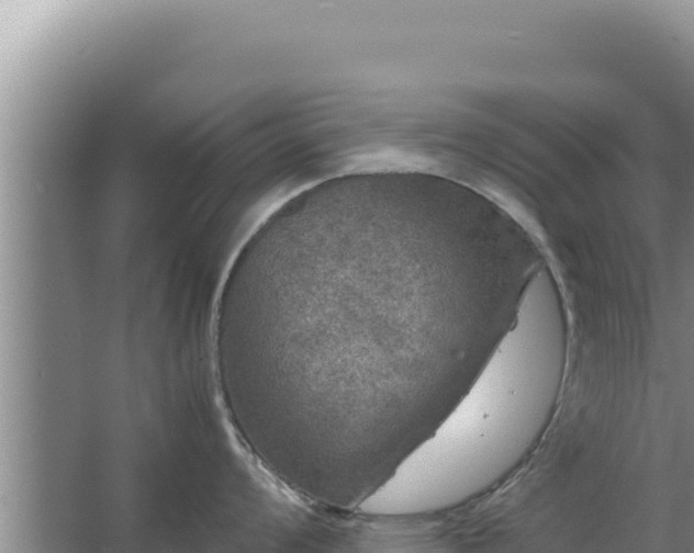 X0000067501008200604150103