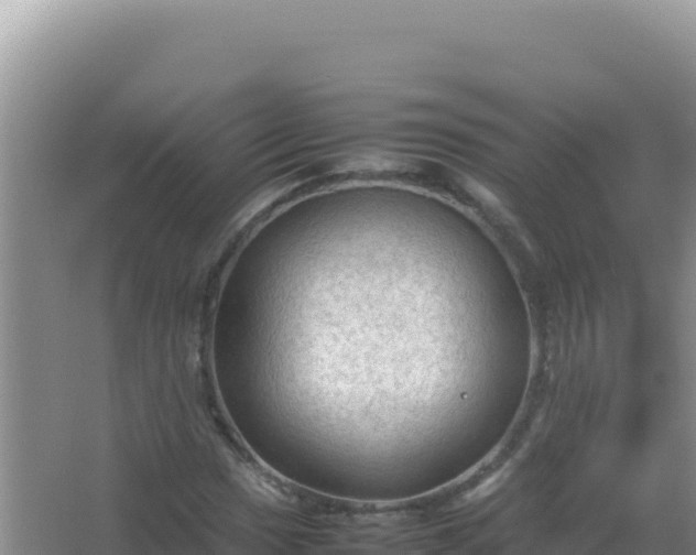 X0000067501017200604150102