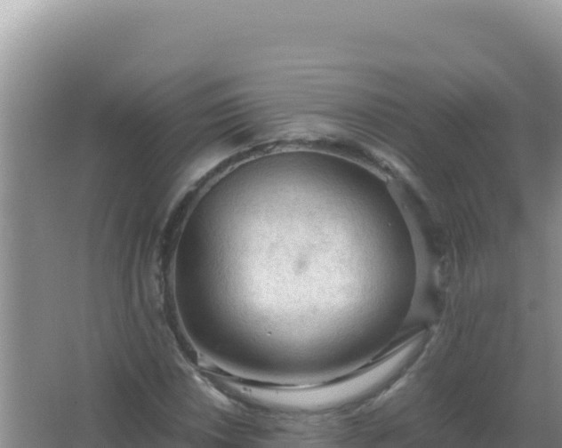 X0000067501018200604150102