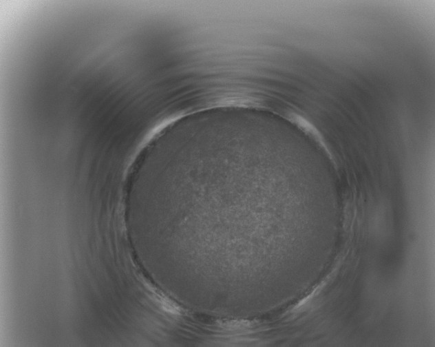 X0000067501019200604150102