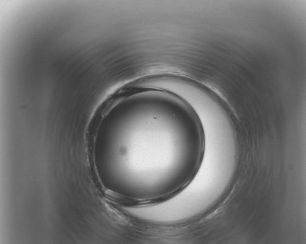 X0000067501022200604150102