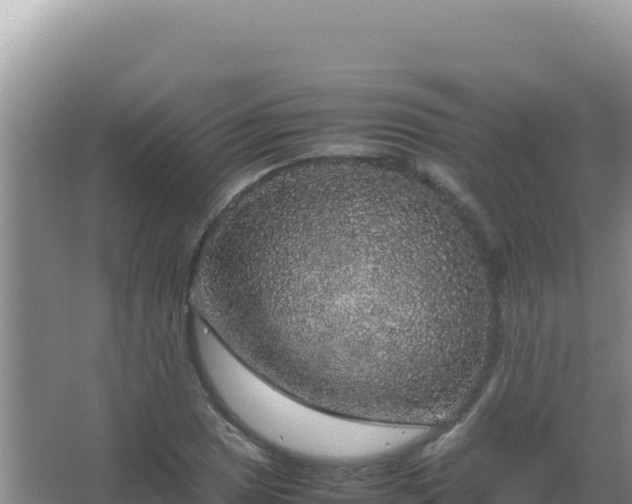 X0000067501025200604150102