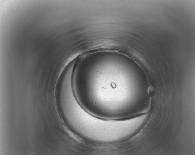 X0000067501026200604150102