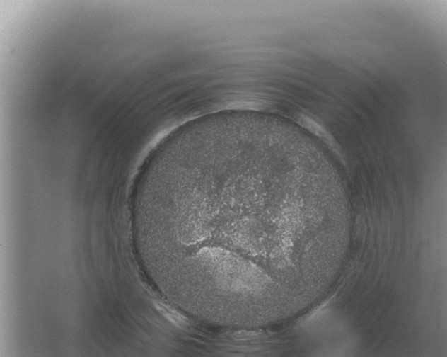 X0000067501027200604150102