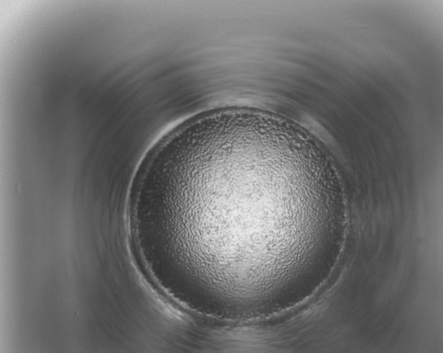 X0000067501028200604150102