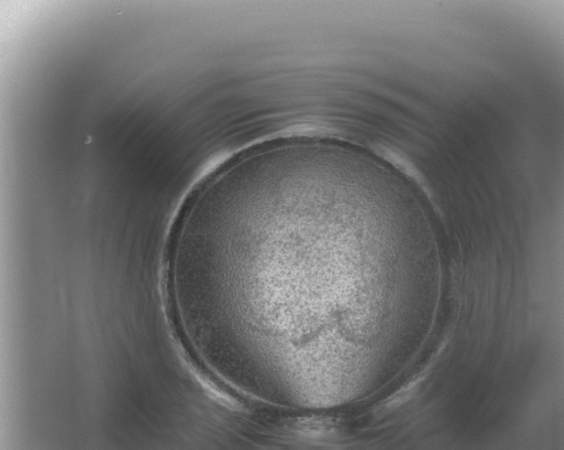 X0000067501029200604150102