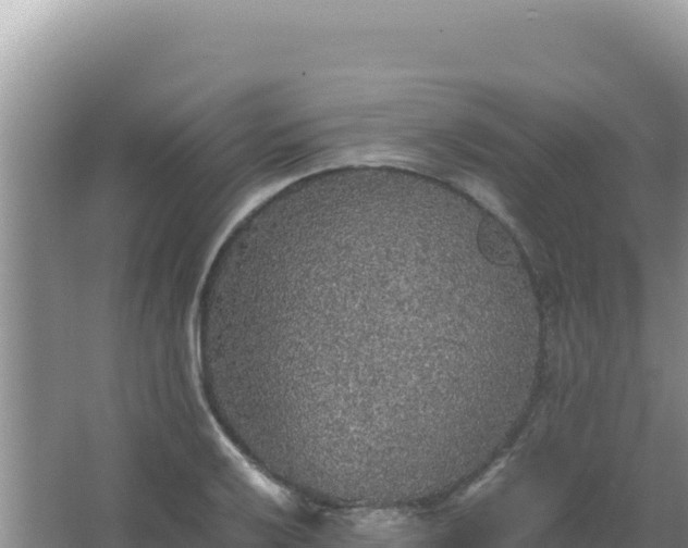 X0000067501032200604150102