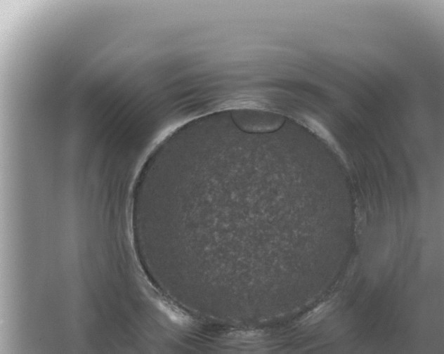 X0000067501035200604150102