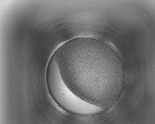 X0000067501036200604150102