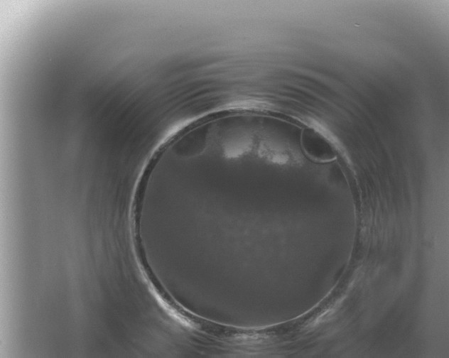 X0000067501037200604150102