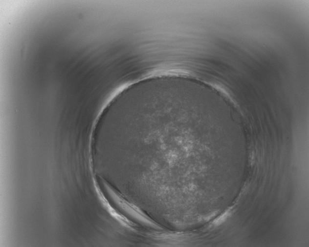 X0000067501038200604150102