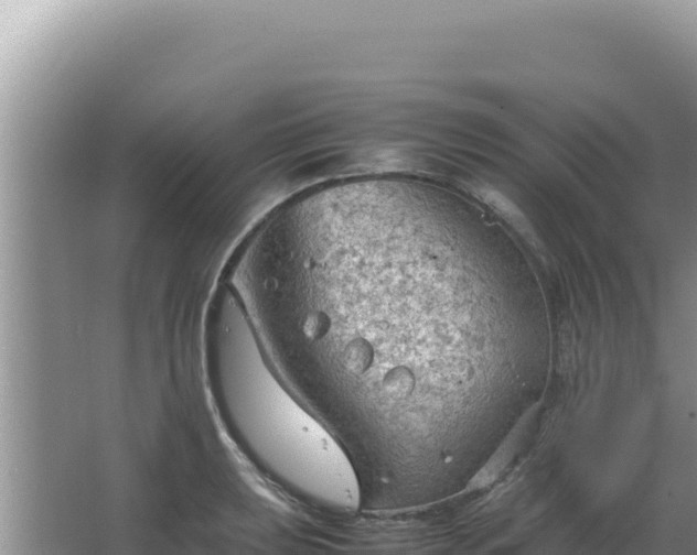 X0000067501039200604150102