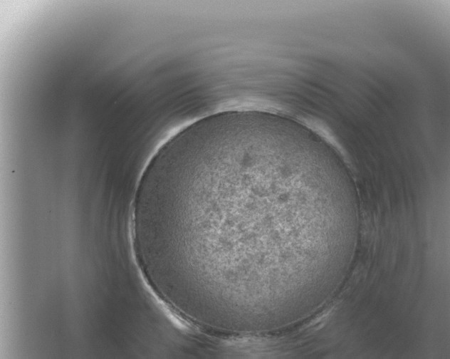 X0000067501040200604150102