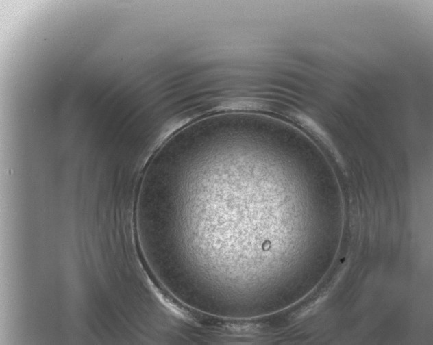 X0000067501041200604150102