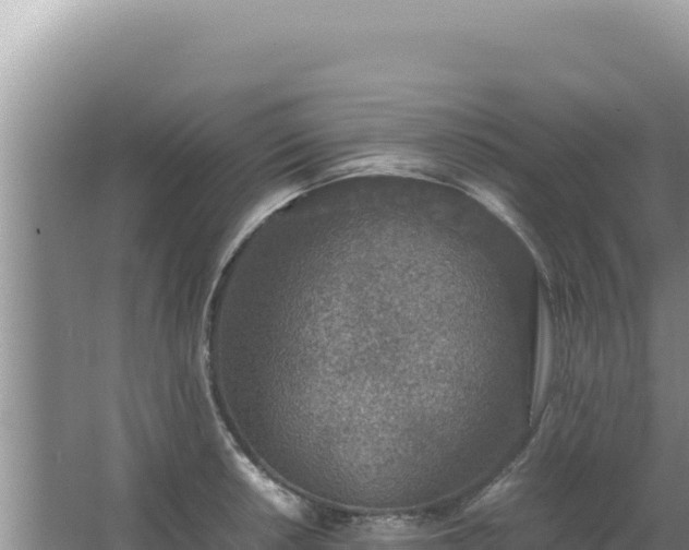 X0000067501042200604150102