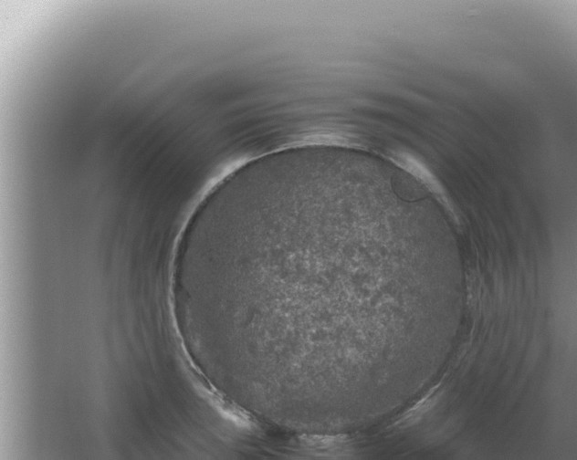 X0000067501043200604150102