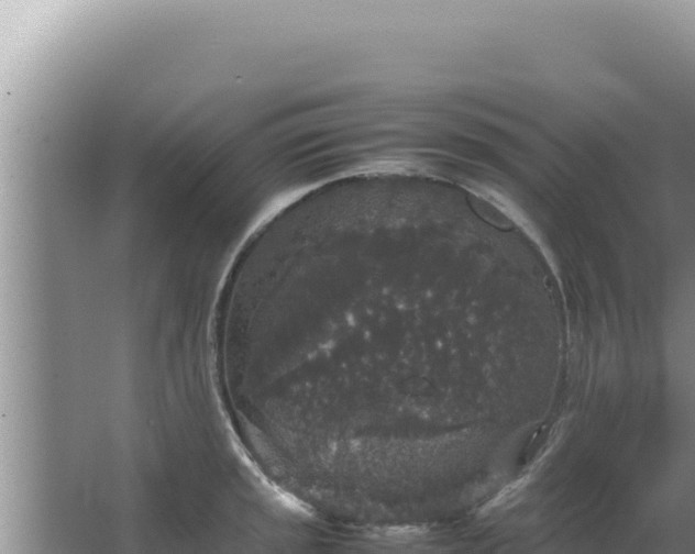 X0000067501045200604150102