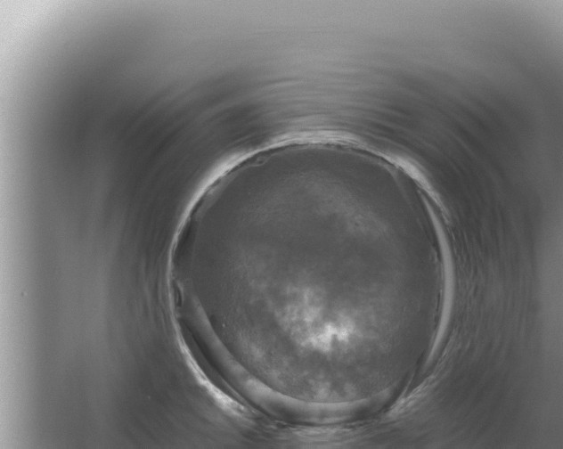 X0000067501046200604150102