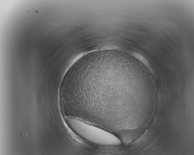 X0000067501047200604150102