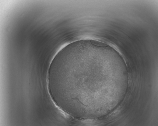 X0000067501048200604150102