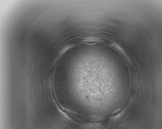 X0000067501049200604150102