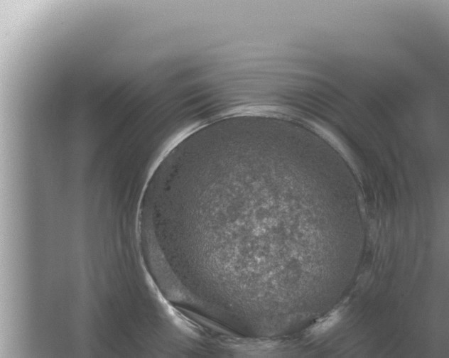 X0000067501050200604150102