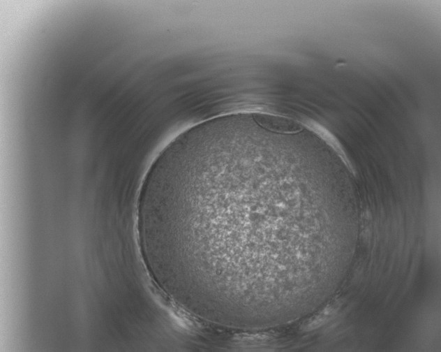 X0000067501051200604150102