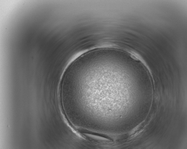 X0000067501053200604150103