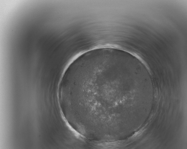 X0000067501054200604150103