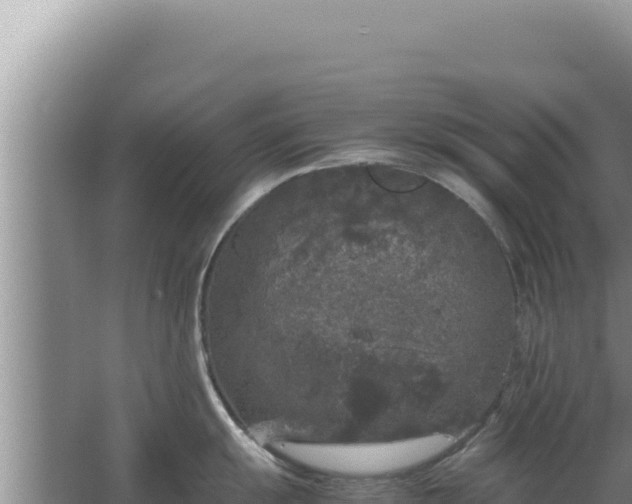 X0000067501055200604150103