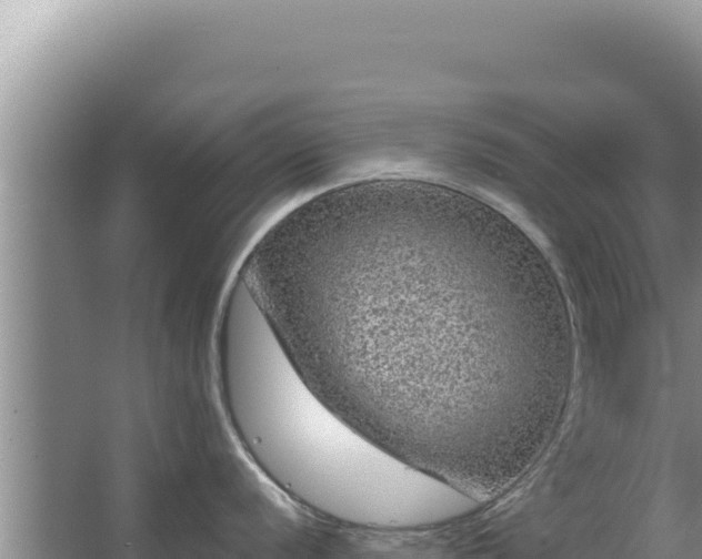 X0000067501056200604150103