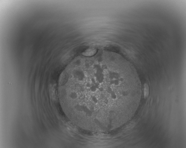 X0000067501059200604150102