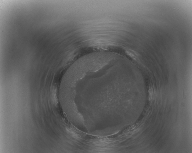 X0000067501060200604150102