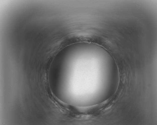 X0000067501061200604150102