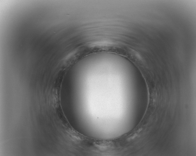 X0000067501062200604150102