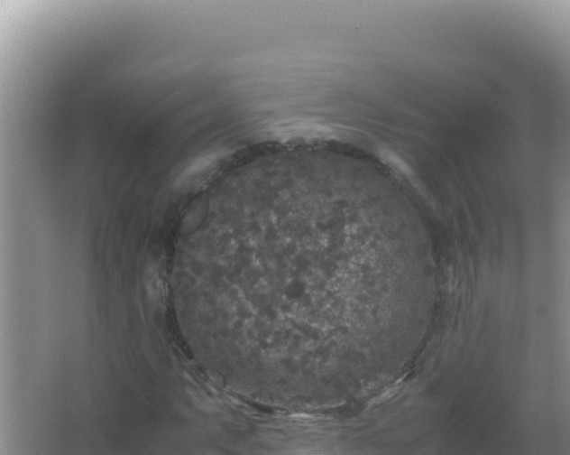 X0000067501063200604150102