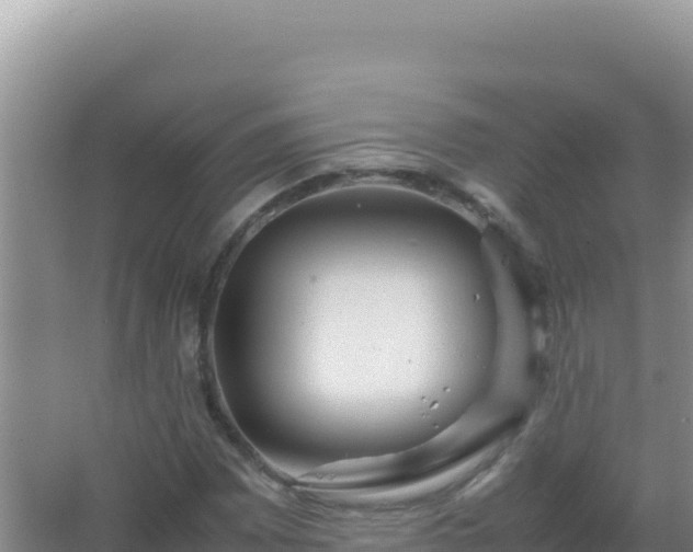 X0000067501065200604150102