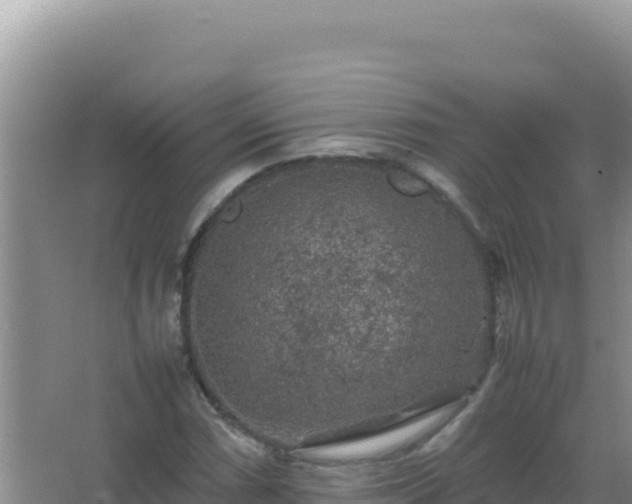 X0000067501066200604150102