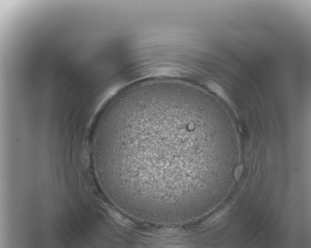 X0000067501067200604150102