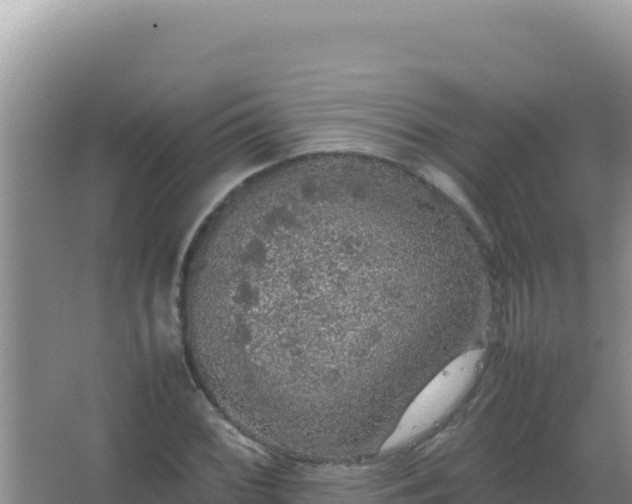 X0000067501068200604150102