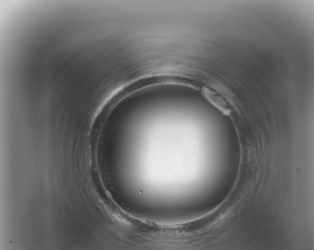 X0000067501069200604150102