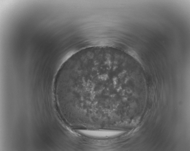 X0000067501071200604150102