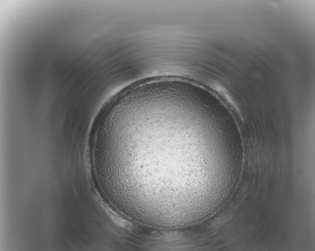 X0000067501072200604150101