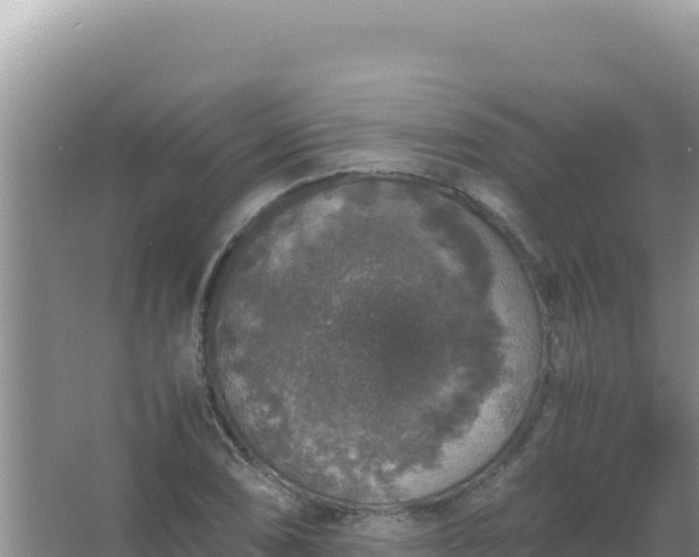 X0000067501074200604150101