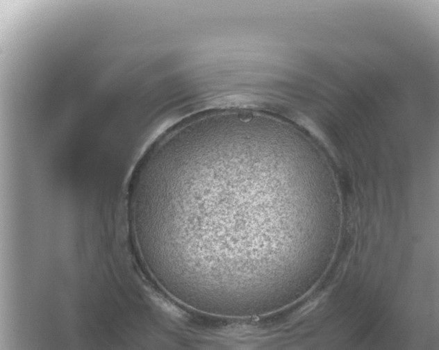 X0000067501075200604150101