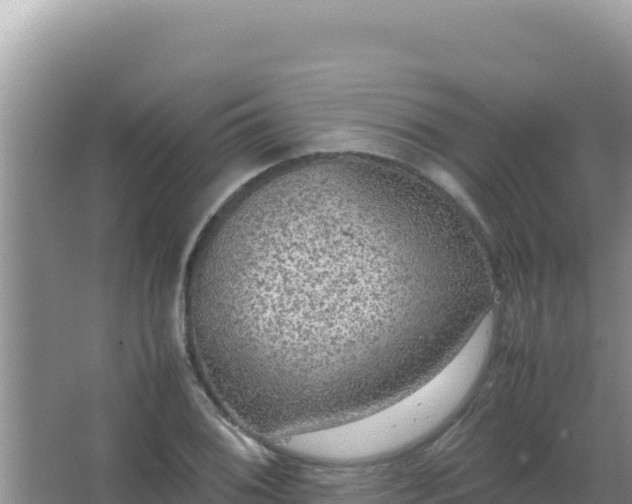 X0000067501076200604150101