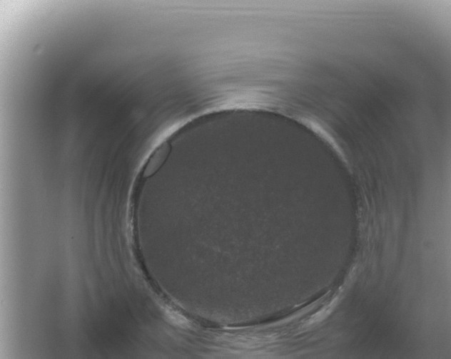 X0000067501077200604150101