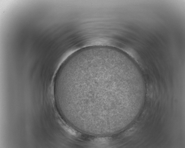 X0000067501078200604150101