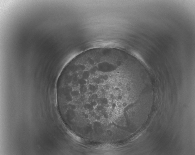 X0000067501079200604150101