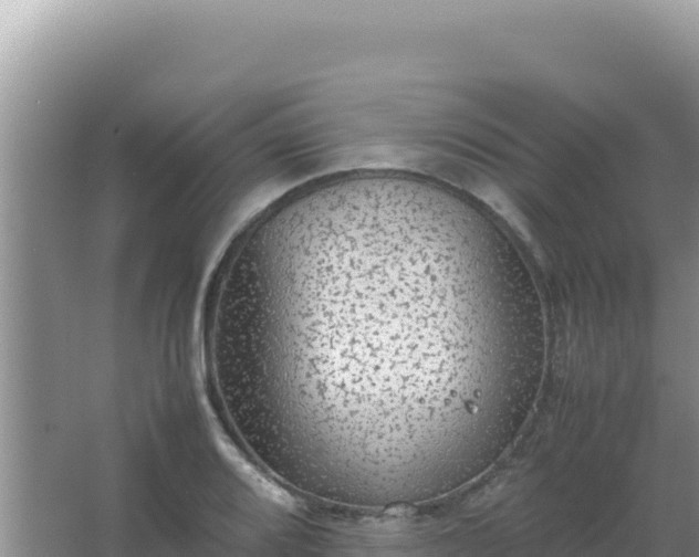 X0000067501080200604150101